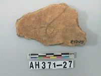 藏品(灰褐色夾砂陶片)的圖片